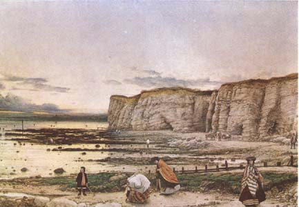 William Dyce Pegwell Bay in Kent.A Recollection of October 5 th 1858  (mk09)